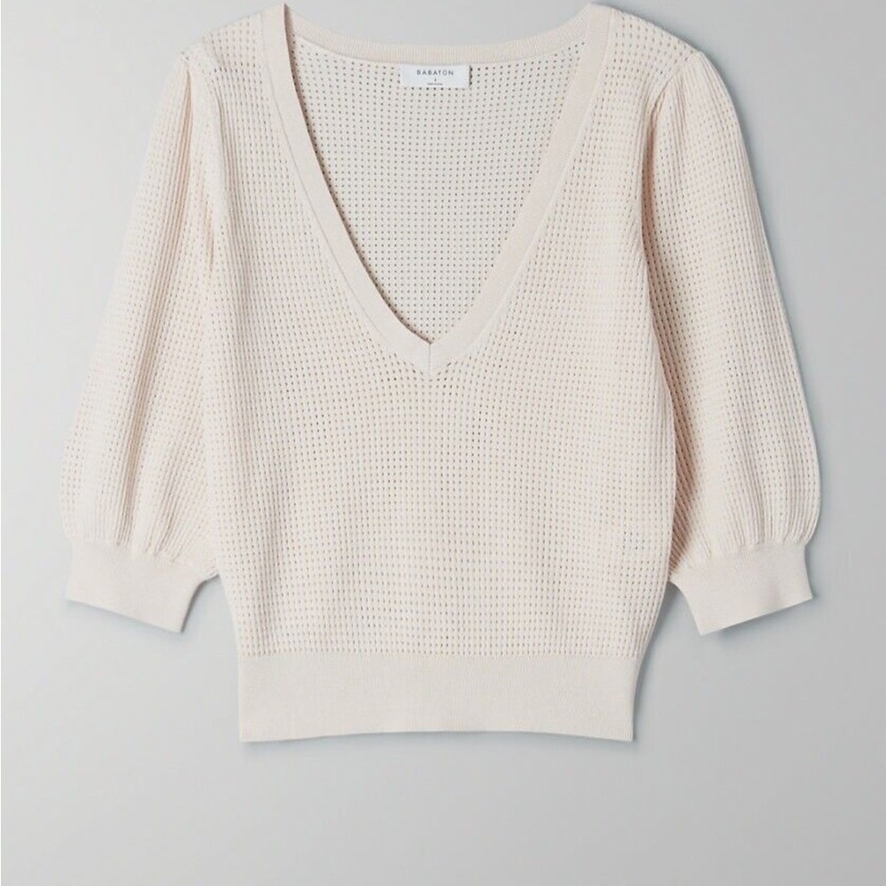 Aritzia Babaton V-Neck Sweater